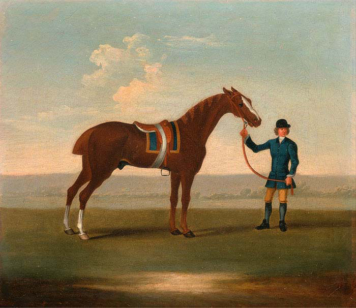 Chestnut Horse